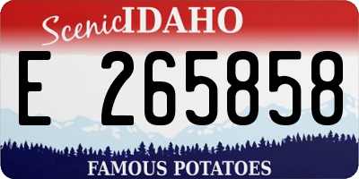 ID license plate E265858
