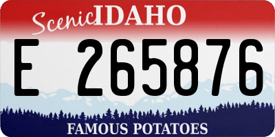 ID license plate E265876