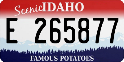 ID license plate E265877