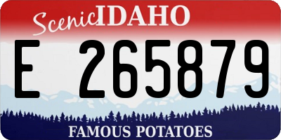 ID license plate E265879