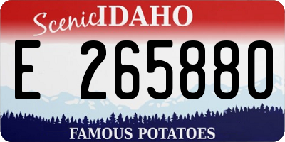 ID license plate E265880