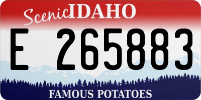 ID license plate E265883