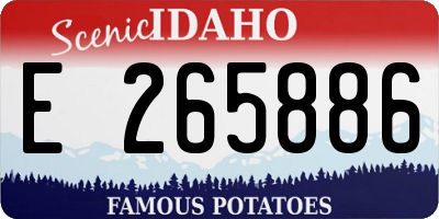 ID license plate E265886
