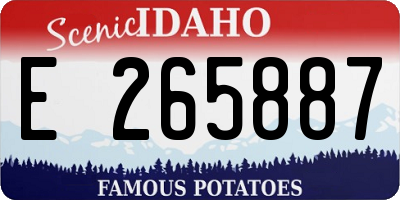 ID license plate E265887