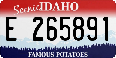 ID license plate E265891