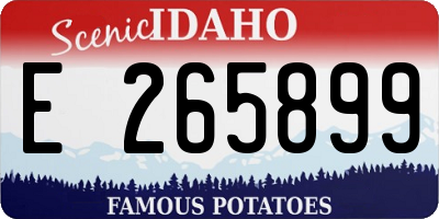 ID license plate E265899