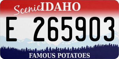 ID license plate E265903