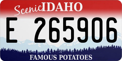 ID license plate E265906