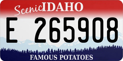 ID license plate E265908