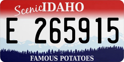 ID license plate E265915
