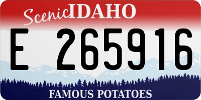 ID license plate E265916
