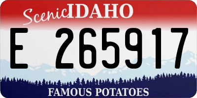 ID license plate E265917