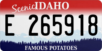 ID license plate E265918