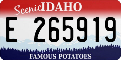 ID license plate E265919