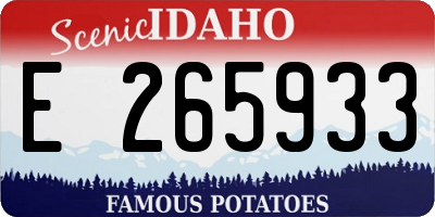 ID license plate E265933