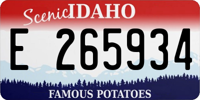 ID license plate E265934