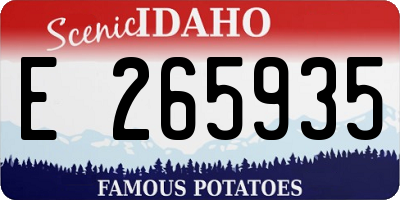 ID license plate E265935