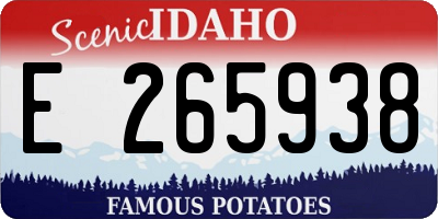 ID license plate E265938
