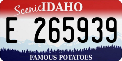 ID license plate E265939