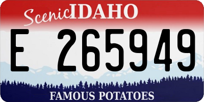 ID license plate E265949