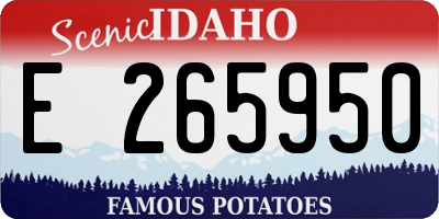 ID license plate E265950