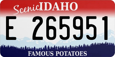 ID license plate E265951