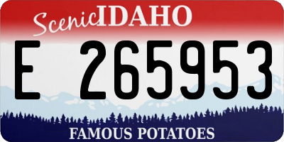 ID license plate E265953