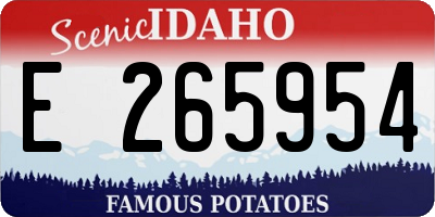 ID license plate E265954
