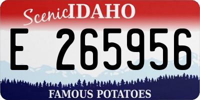 ID license plate E265956