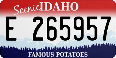 ID license plate E265957