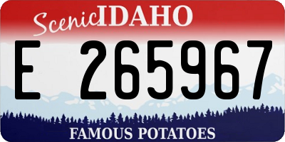 ID license plate E265967