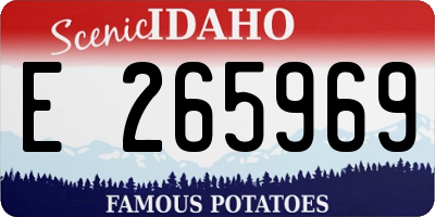 ID license plate E265969