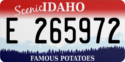ID license plate E265972