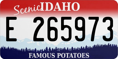 ID license plate E265973