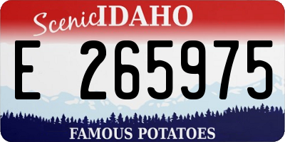 ID license plate E265975