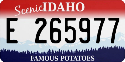 ID license plate E265977