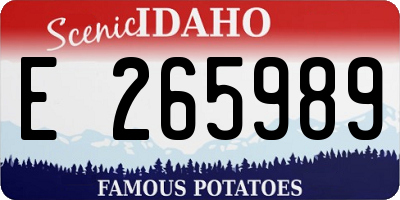ID license plate E265989