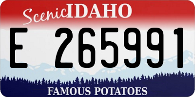 ID license plate E265991