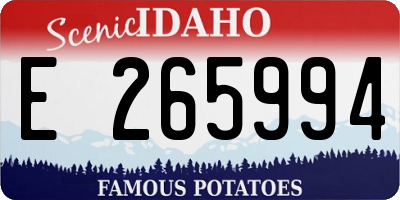 ID license plate E265994