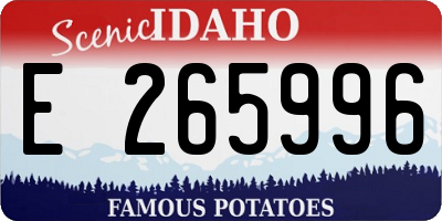 ID license plate E265996