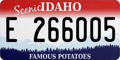 ID license plate E266005