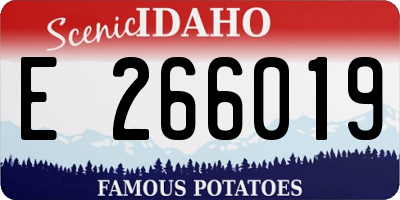ID license plate E266019