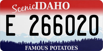ID license plate E266020