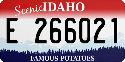 ID license plate E266021