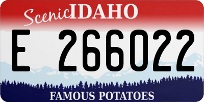 ID license plate E266022