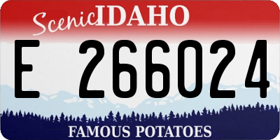 ID license plate E266024