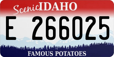 ID license plate E266025