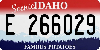 ID license plate E266029
