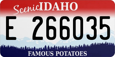 ID license plate E266035