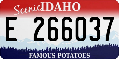 ID license plate E266037